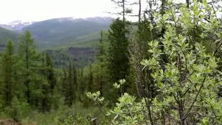 ЭКСТРЕМАЛЬНОЕ ПУТЕШЕСТВИЕ ТУВА