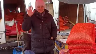 Ціна на Цибулю.