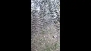 Grand Loop Trail: Walking thru the mud