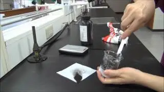 磁性異形的製作（Making a Magnetic Silly Putty）