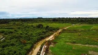 pemandangan sawah