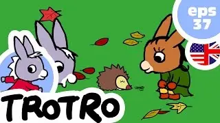 TROTRO ENGLISH - 🦔EP37🍂 🍁 🍄 - Trotro and the hedgehog