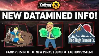 NEW Camp Pets Info, Datamined Perks and a Faction System? | Fallout 76 Latest News