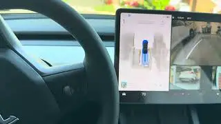 Tesla Auto Park in garage with homemade parking spot