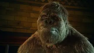The biology of Gigantopithecus