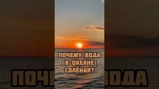 Почему вода в океане соленая? Как она туда попала?