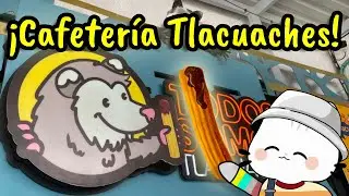 Visitando una CAFETERÍA de TLACUACHES