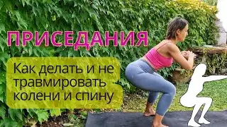 Как делать приседания и не травмировать колени и спину. Техника для всех.