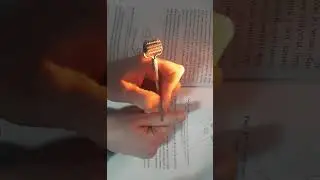 Су джок Семянотерапия☘ при сухом и влажном кашле, 2-я часть. #здоровье #сухойкашель #влажныйкашель