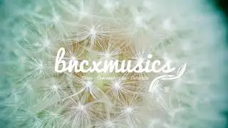 Skylike - Limitless