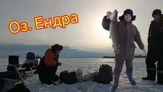 озеро ЕНДРА. хмао. маточный водоем. разведка новых мест