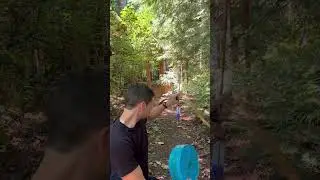 Roll and shoot 🏹
