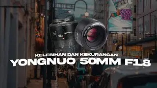 LENSA MURAH BOKEH LUAR BIASA || YONGNUO 50MM F1.8