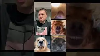 Наболевший вопрос.