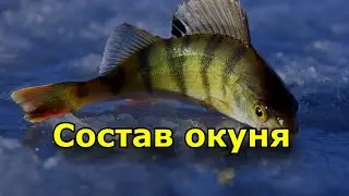 Состав окуня, польза и химический состав рыбы
