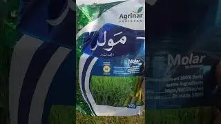 Agrinar Molar mono #agriculture #viralvideo