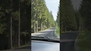 Дорога в горных лесах Австрия