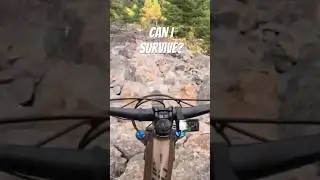 Can I survive this ride?!