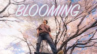 『Blooming』