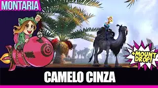 Guia: O Camelo Cinza de Uldum (The Camel-Hoarder) (+ Mount DROP!)