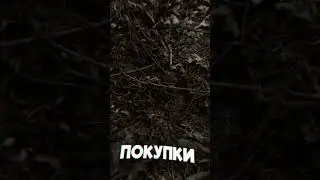 Sold a treasure map on Avito