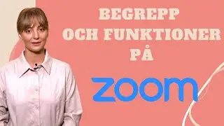 Vad betyder Breakout Rooms? Lär dig allt om begrepp och funktioner på Zoom!