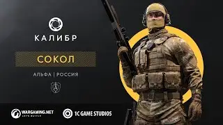Калибр. Сокол имба?!