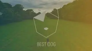 Best Dog (Intro Reel)