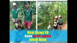 Video Viral di Sosmed, Bocah SD Jalan Kaki Puluhan Km Berbekal Jagung demi Ikut Ujian Sekolah