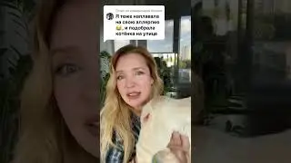 Я астматик и кошатник