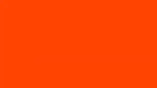 Background orange screen oranye warna Oren orange oranye oyen 