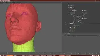 Tutorial - How to fit ears to a low poly model.