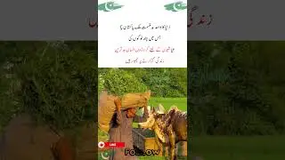 دُنیا کا واحد بدقسمت مُلک پاکستان