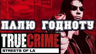 Палю годноту True Crime: Streets of LA