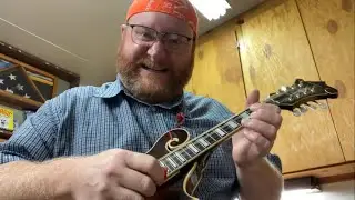 Does The Mandolin Sea Shanty?