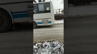 кавз 4235 м-т 121 #видео #хочуврек #автобус