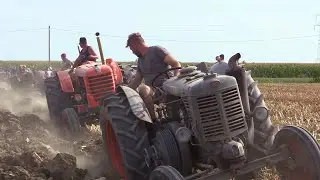 #6 - Baura 2021 - Aratura d'epoca | Old tractors plowing - Hot bulb Landini, Orsi, Fiat, Same, OM...