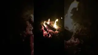 Bonfire 3d Костёр