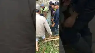 angkat huller satake