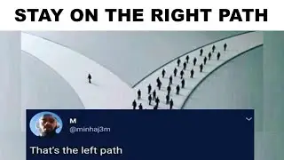 PEOPLE ARE STUPID
