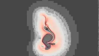 C-start of a larval fish