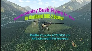 X-Plane 11: Backcountry Bush Flying in Canada - De Havilland Beaver DHC2