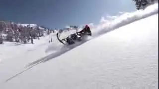 Shithook Trick Tip