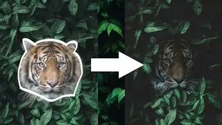 تركيب صورة داخل صورة |Merge picture into picture