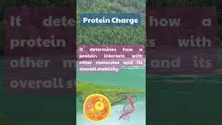 Protein Charge 