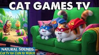 Ultimate CAT TV 📺 Dynamic 3D Cat Games Designed to Keep Cats Curious, Active & Happy－Video for Cats