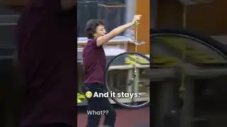 Does the spinning wheel defy gravity? No! It obeys 
