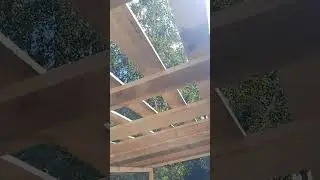 крыша веранды