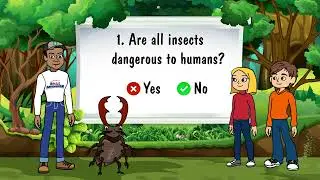 Animated quiz for Edutainment Project