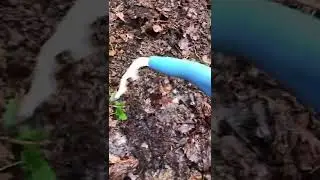 Компост быстро и дешево! 